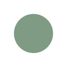 [PGU-M1050] プリジェルミューズ メッツァグリーン 3g