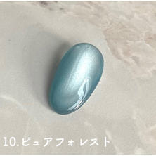 D.nail グロスマグジェル10 ピュアフォレスト