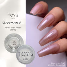 TOY&rsquo;s &times; INITY 極みツヤパウダー 0.5g
