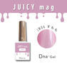 Dna Gel JUICY mag JM06 すもも 1