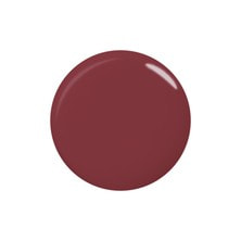 paragel（パラジェル）カラージェル LC09 ジューンベリー 4g