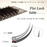 Flatラッシュ・セーブル[Cカール太さ0.20長さ10mm] 2