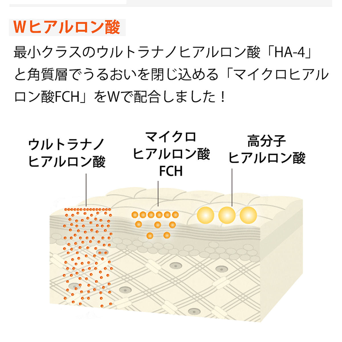 ARES ステムC エッセンスローション 120ml【2mlパウチ×5枚付】の卸