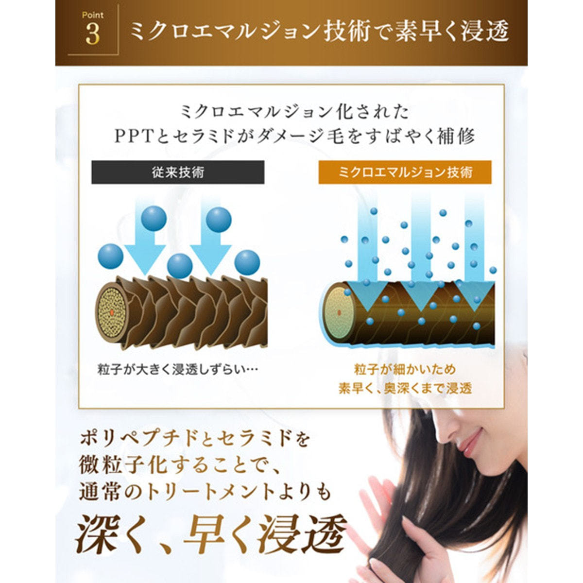 クリームPPT S トリートメント 1000gの卸・通販 | ビューティガレージ
