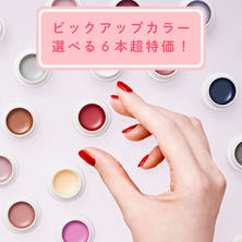 Raygel カラージェル ピックアップカラー 選べる6色セット