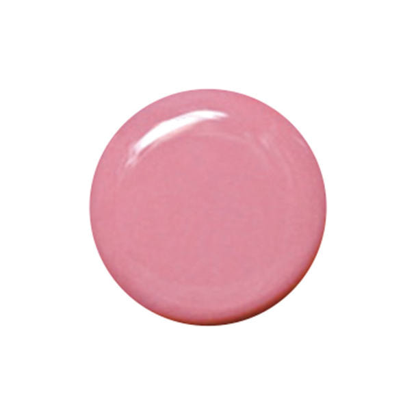 KOKOIST Color Gel 2.5g E-73 Smoke Raspberry