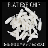 フラットアイチップ.jpg