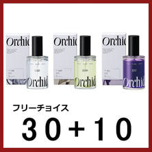 キャンペーンD メゾンオルキデ フリーチョイス（100ｍｌ&times;40本）