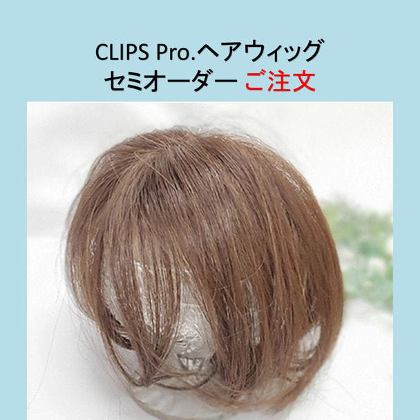 CLIPS.Pro セミオーダーメイドヘアウィッグ(トップ・分け目) 1
