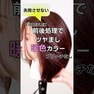 動画