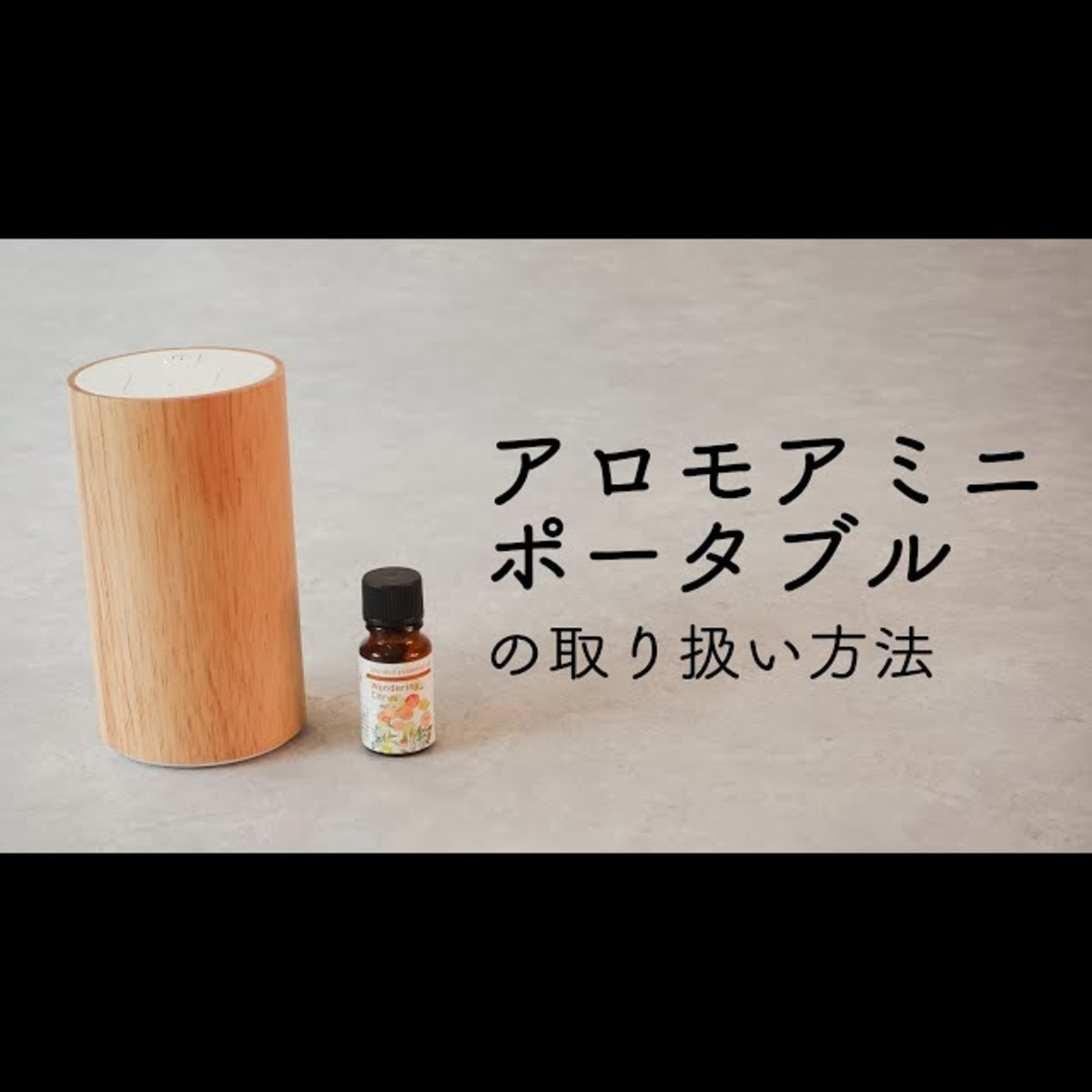 生活の木 アロモアミニポータブル ウッドの卸・通販 | ビューティガレージ