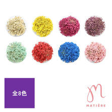 MATIERE ドライフラワー