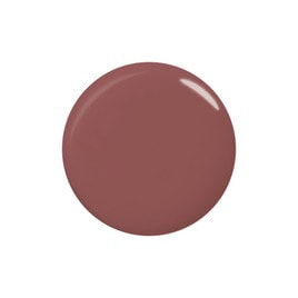 Paragel パラジェル カラージェル Lc06 フォーン 4gの卸 通販 ビューティガレージ