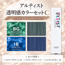 アルティスト 透明感カラーセットC