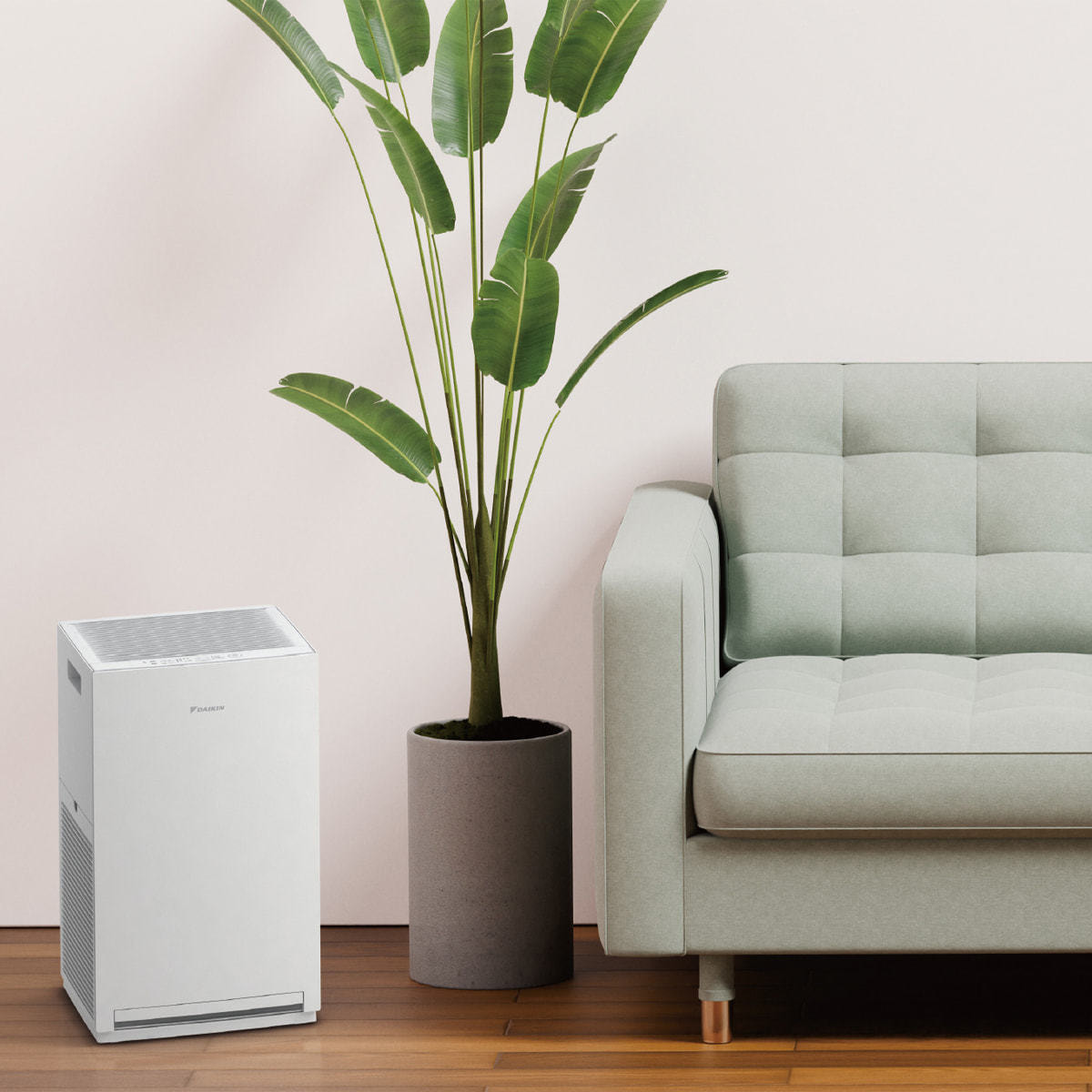 2026年モデル】ストリーマ空気清浄機（ACM556A-W）の卸・通販