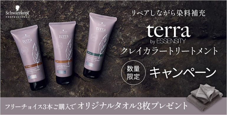 ハーバルシーズンズ 白髪染め ダークブラウン 2個セット 恵まれれ ハーバルシーズンズ 白髪染め ダークブラウン 2個セット 恵まれれ