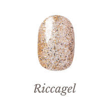 リッカジェル カラージェル 327G 3g