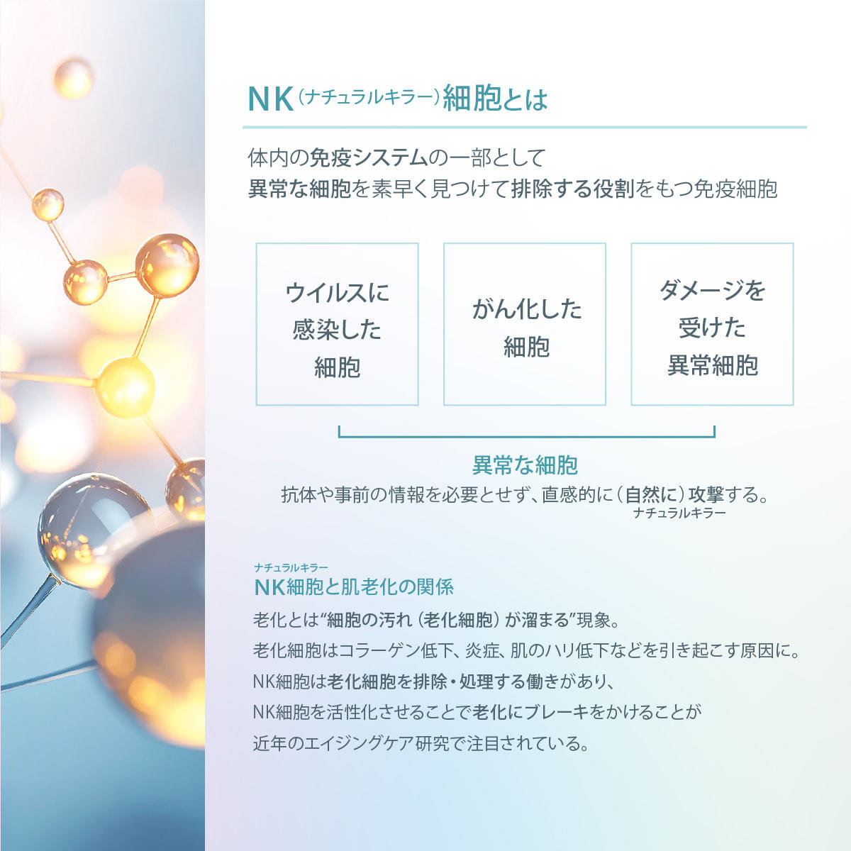 ICR Beauty HD-KANRI NK細胞原液 30mlの卸・通販 | ビューティガレージ