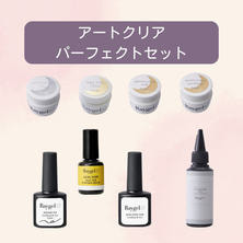 Raygel アートクリアパーフェクトセット