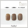 Naility！（ネイリティー）カラージェル コンテナタイプ C1201 ウォールナッツ 2