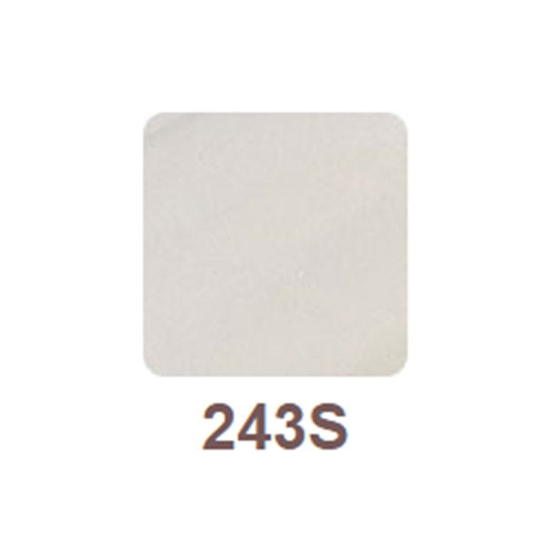 リッカジェル カラージェル 243S 5g