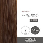 2-camel-brown.jpg