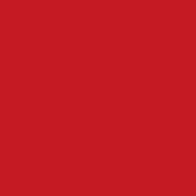 L8698_2(CRAL用)