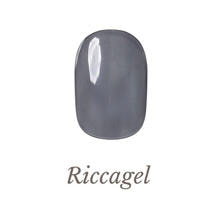 リッカジェル カラージェル 405S 3g