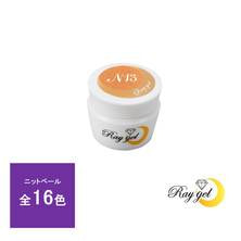 Raygel カラージェル 4g （ニットベール）