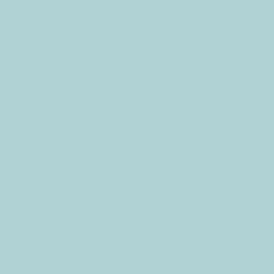 L8721_2(CRAL用)