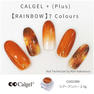 Calgel カラーカルジェルプラス シアーアンバー 2.5g 3