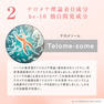 be-10 プレミアム フェイスマスク 5枚 7