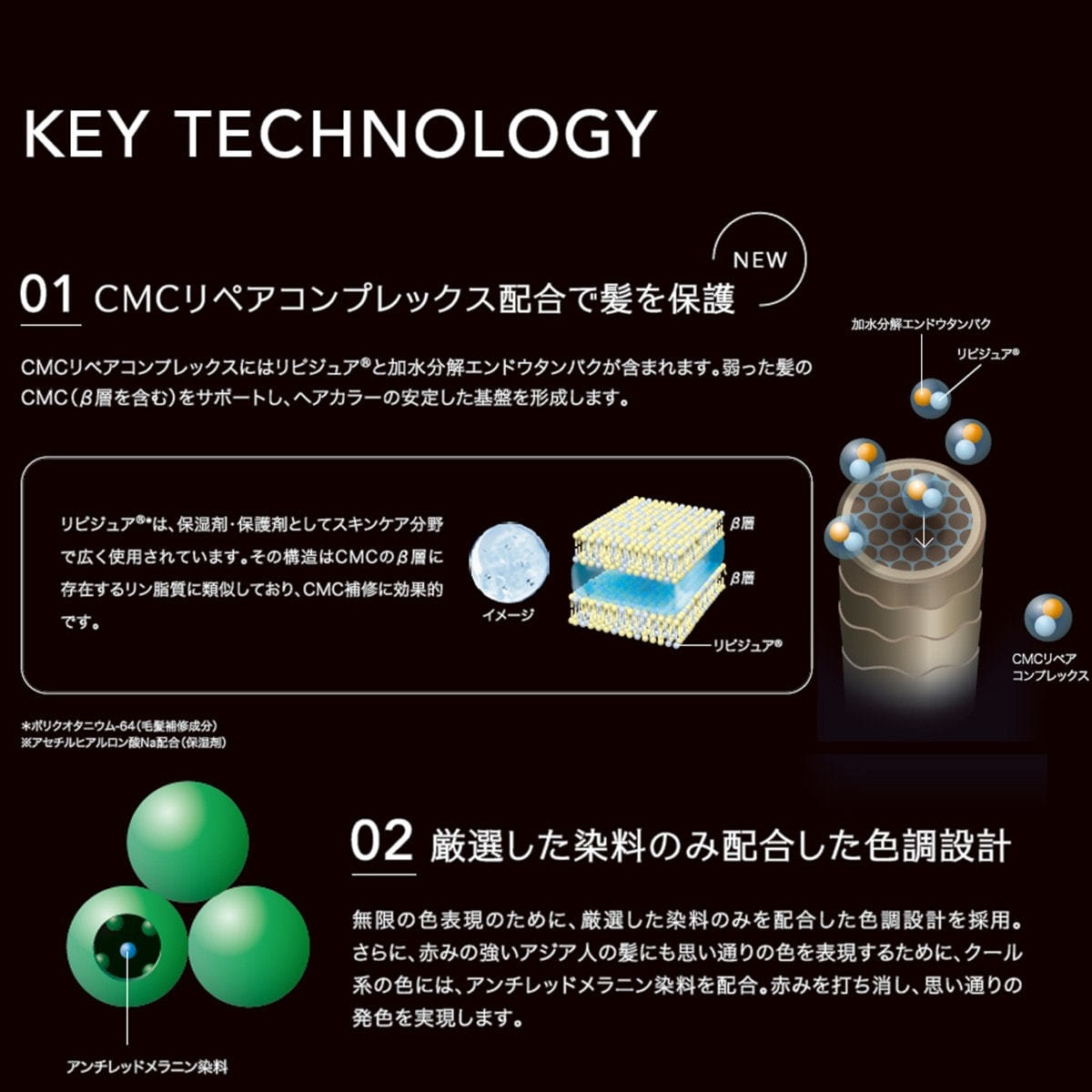 ポーラ　カラークリーム　他　YUKARI カラーミューズ カラークリーム240g フリーチョイス4＋1の卸・通販