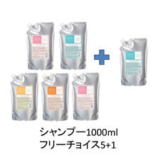 【5+1キャンペーン】プロマスターカラーケア シャンプー 1000ml セット