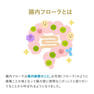 BROADBIFI（ブロードビフィ）2g×30本【機能性表示食品】 3