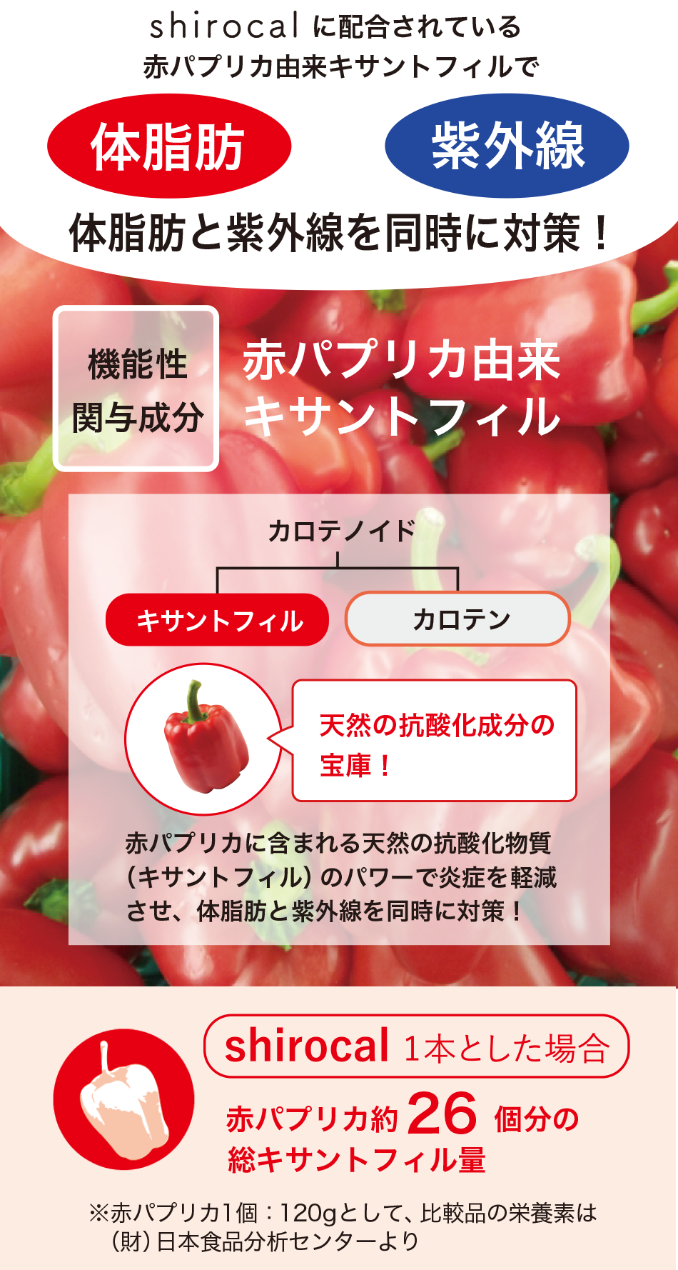 shirocal（シロカル）62粒入り【機能性表示食品】の卸・通販