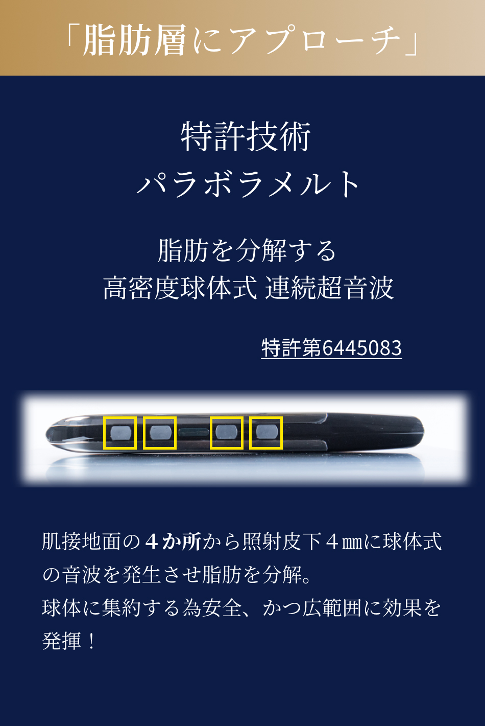 PYR SWORD（パイラソード）【日本製】の卸・通販 | ビューティガレージ