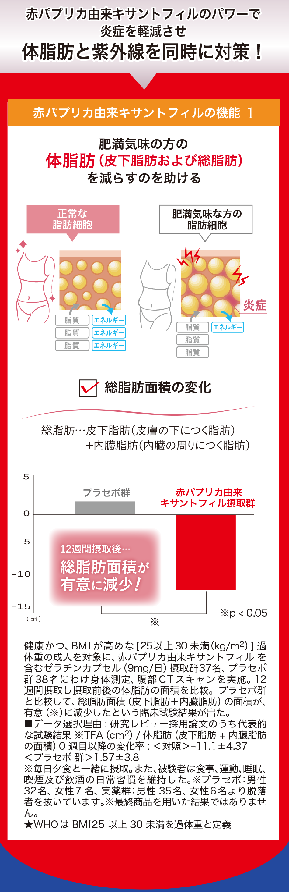 shirocal（シロカル）62粒入り【機能性表示食品】の卸・通販 | ビューティガレージ