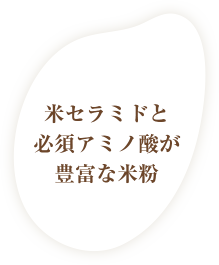 ナチュラル米カラーの商品の卸・通販 | ビューティガレージ