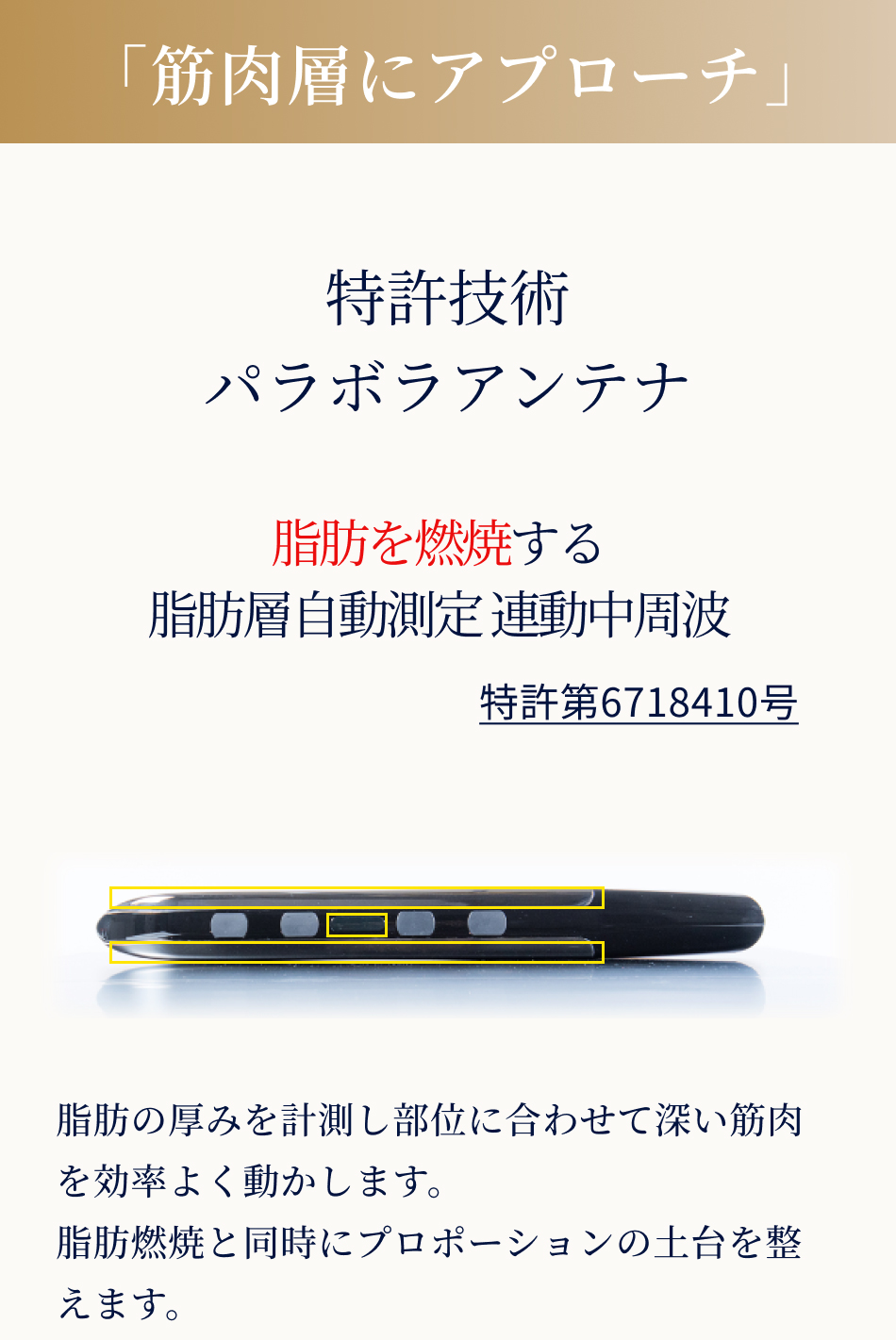 PYR SWORD（パイラソード）【日本製】の卸・通販 | ビューティガレージ