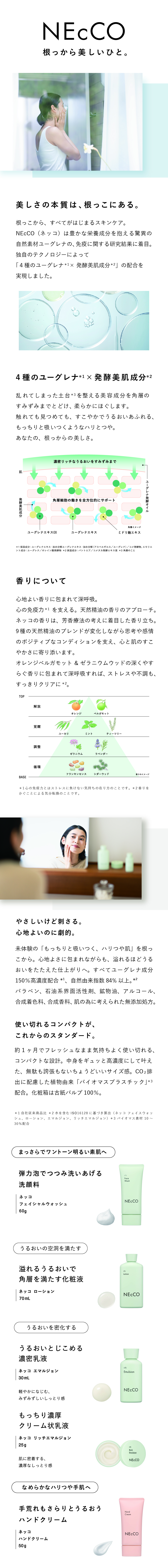 NEcCO トリプルアクティブクリーム 80g【医薬部外品】の卸・通販