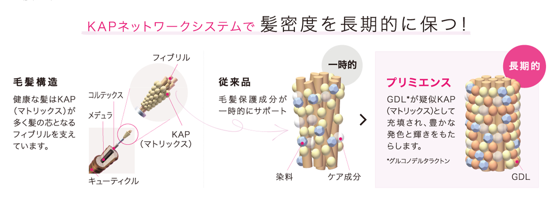 PRIMIENCE（プリミエンス）の商品の卸・通販 | ビューティガレージ