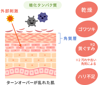 ターンオーバーが乱れた肌