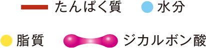 タンパク質 水分 脂質 ジカルボン酸