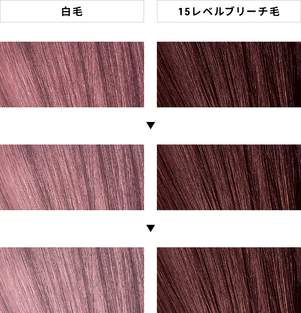 図