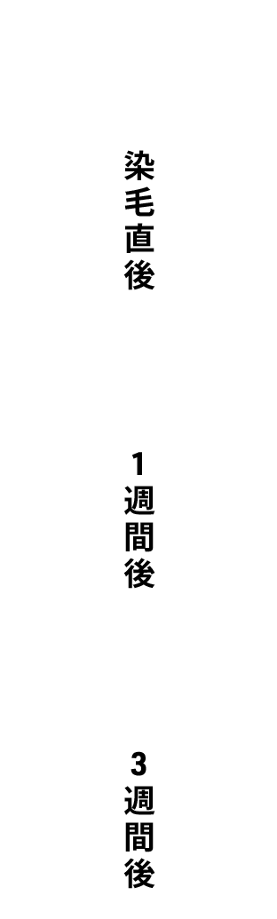 染毛直後 1週間後 3週間後