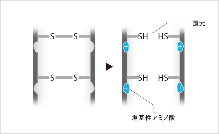 図