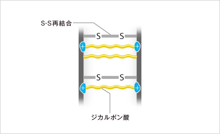 図