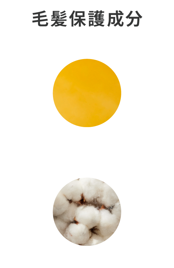 毛髪保護成分